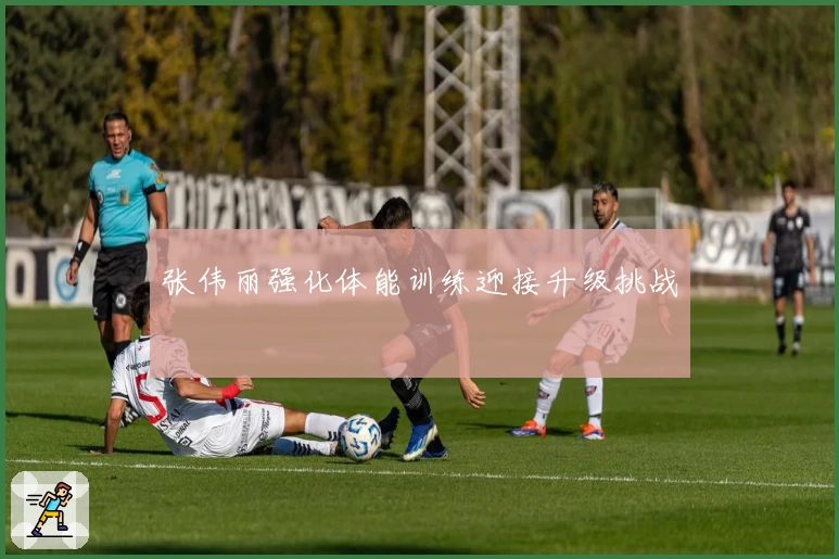 张伟丽强化体能训练迎接升级挑战