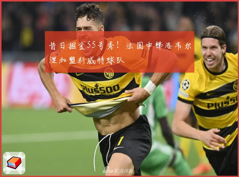 昔日掘金55号秀！法国中锋洛韦尔涅加盟科威特球队