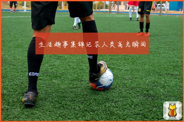 生活趣事集锦记录人类高光瞬间