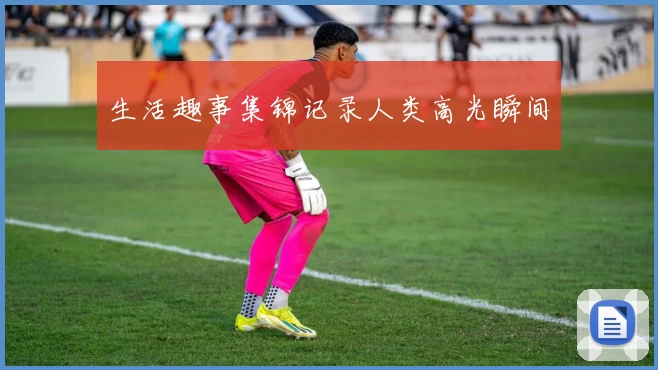 生活趣事集锦记录人类高光瞬间