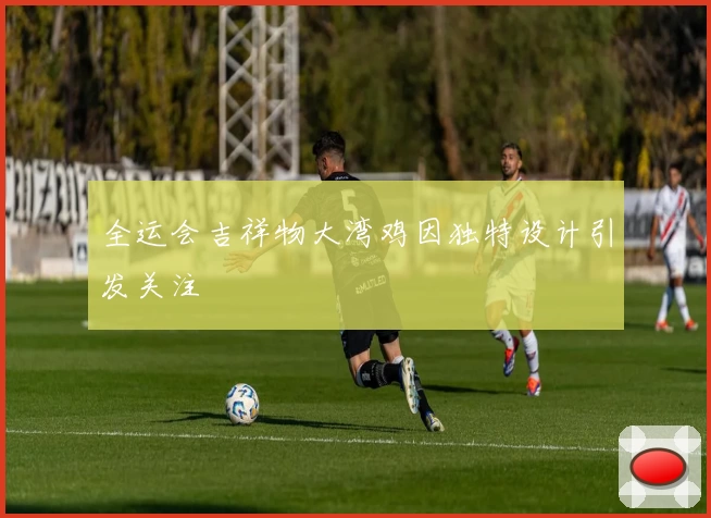 全运会吉祥物大湾鸡因独特设计引发关注